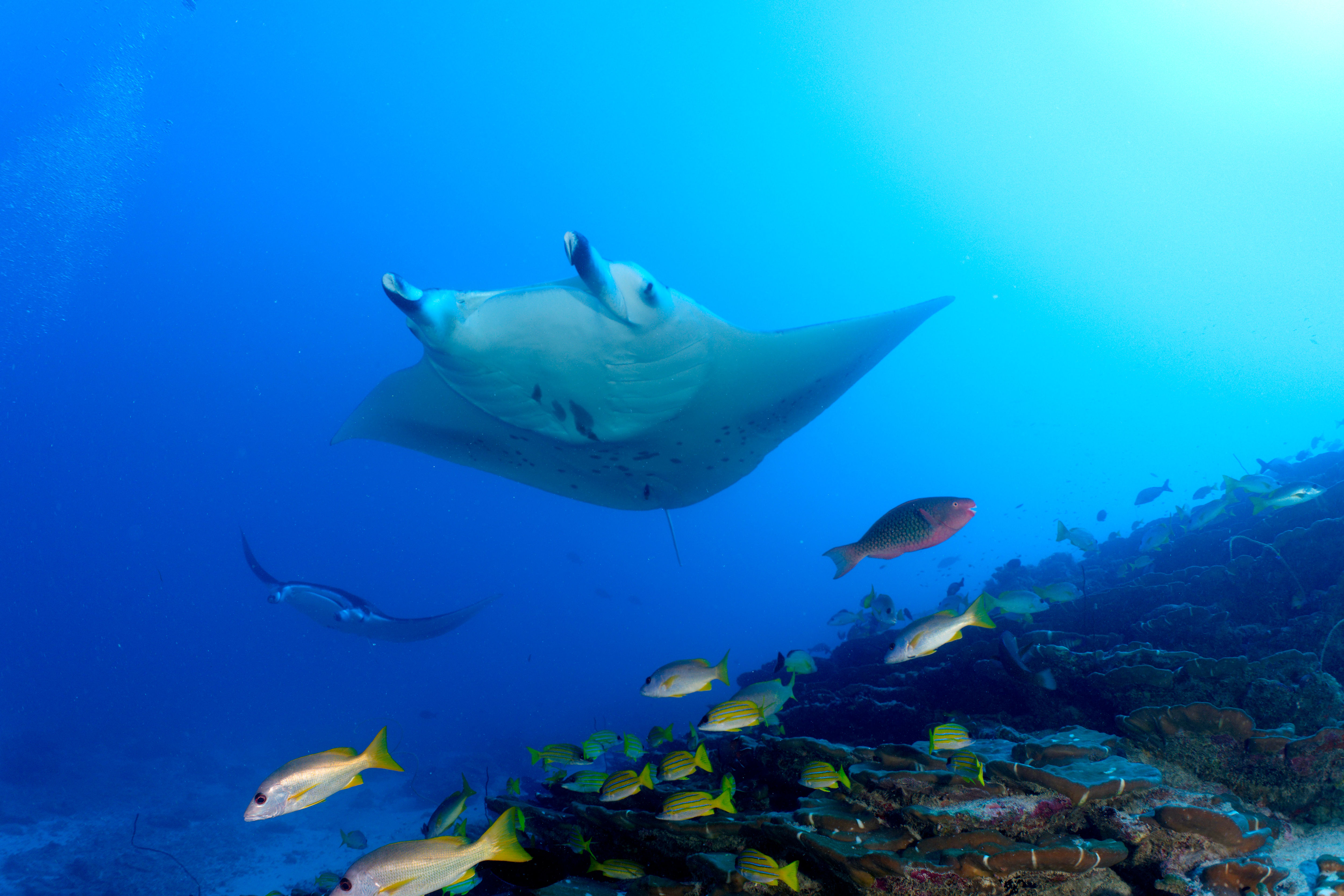 Seenu Atoll