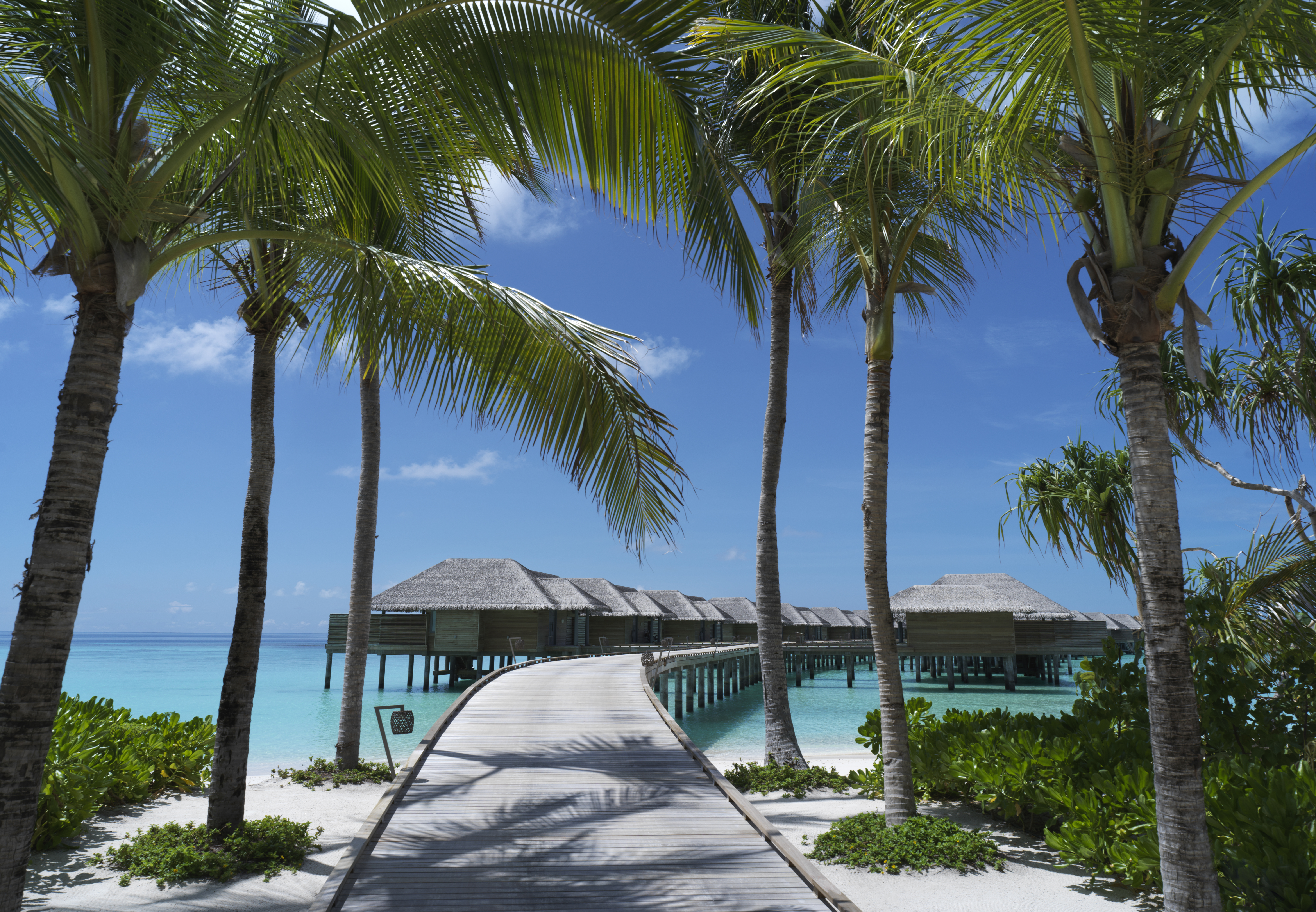 Resort